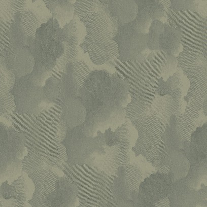 nuages  monochromes  grey