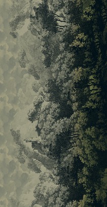 panorama  grey