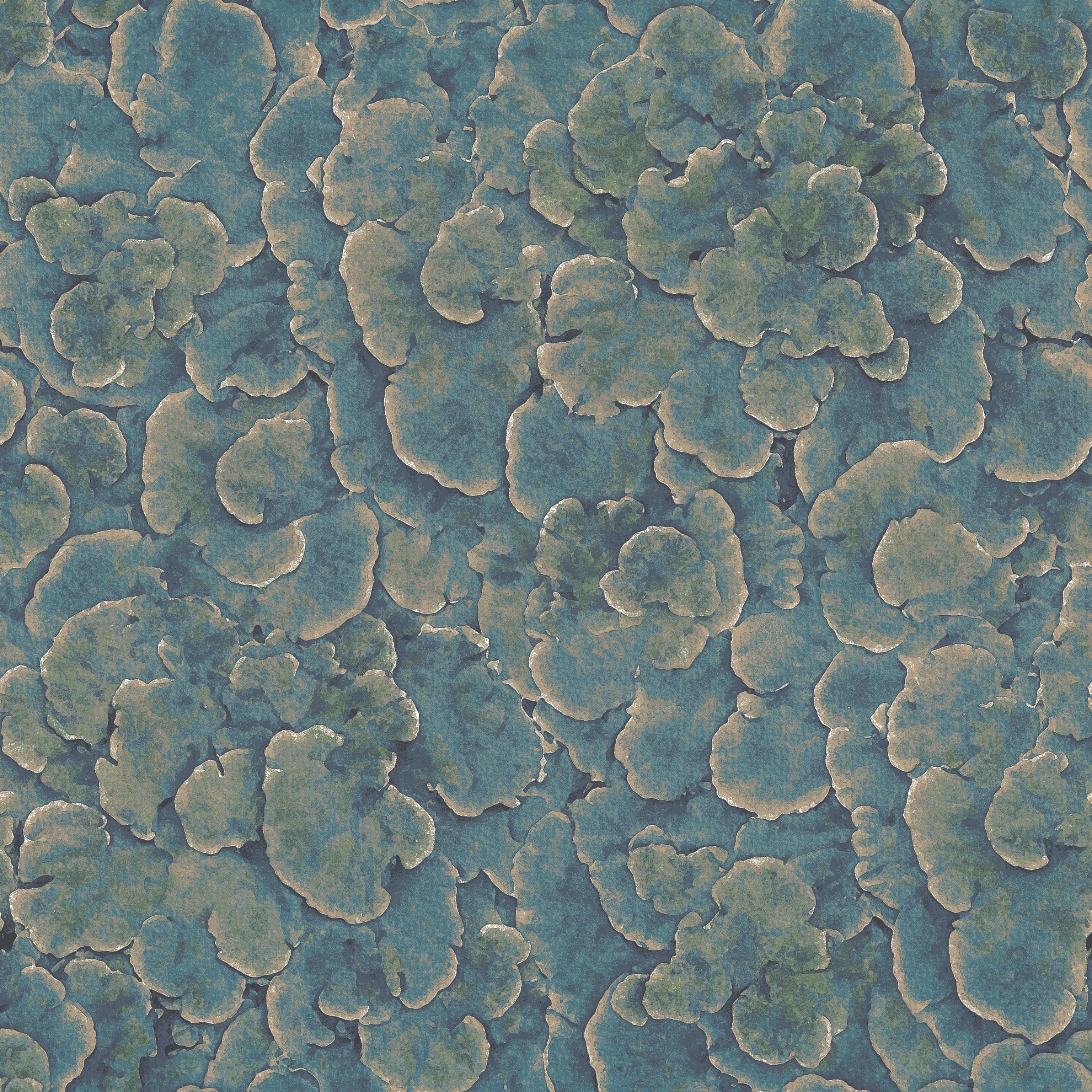 Corals blue
