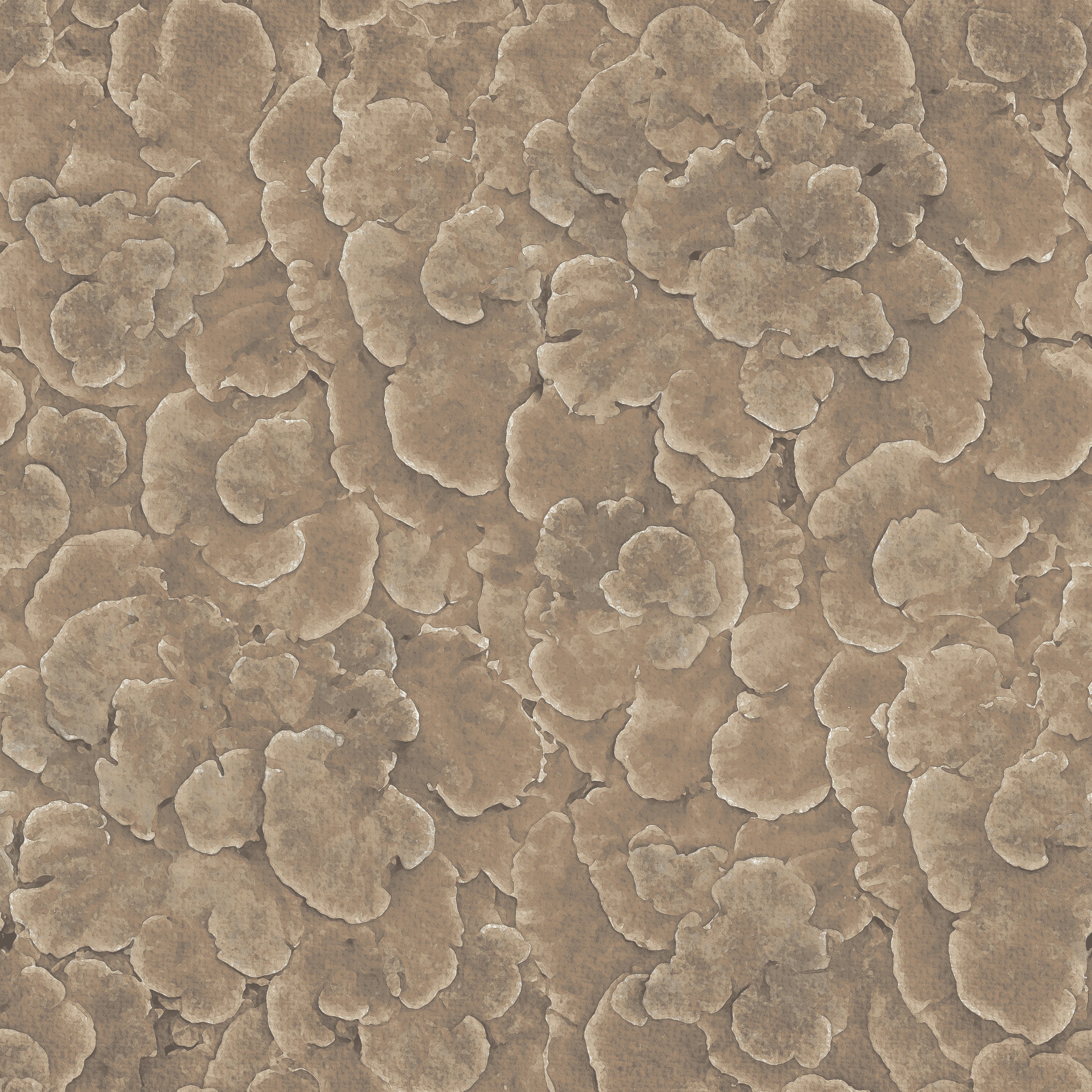 Corals beige
